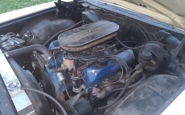 Ford-Galaxie-1966-Coupe-6