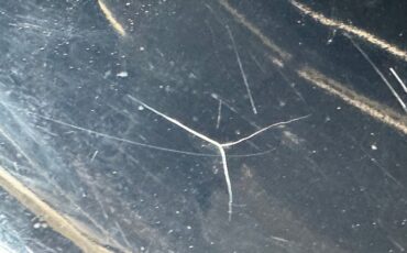 Ford-Model-a-1930-French-Gray-Brown-3