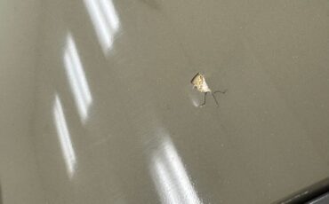 Ford-Model-a-1930-French-Gray-Brown-9