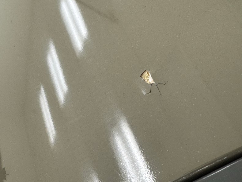 Ford-Model-a-1930-French-Gray-Brown-9