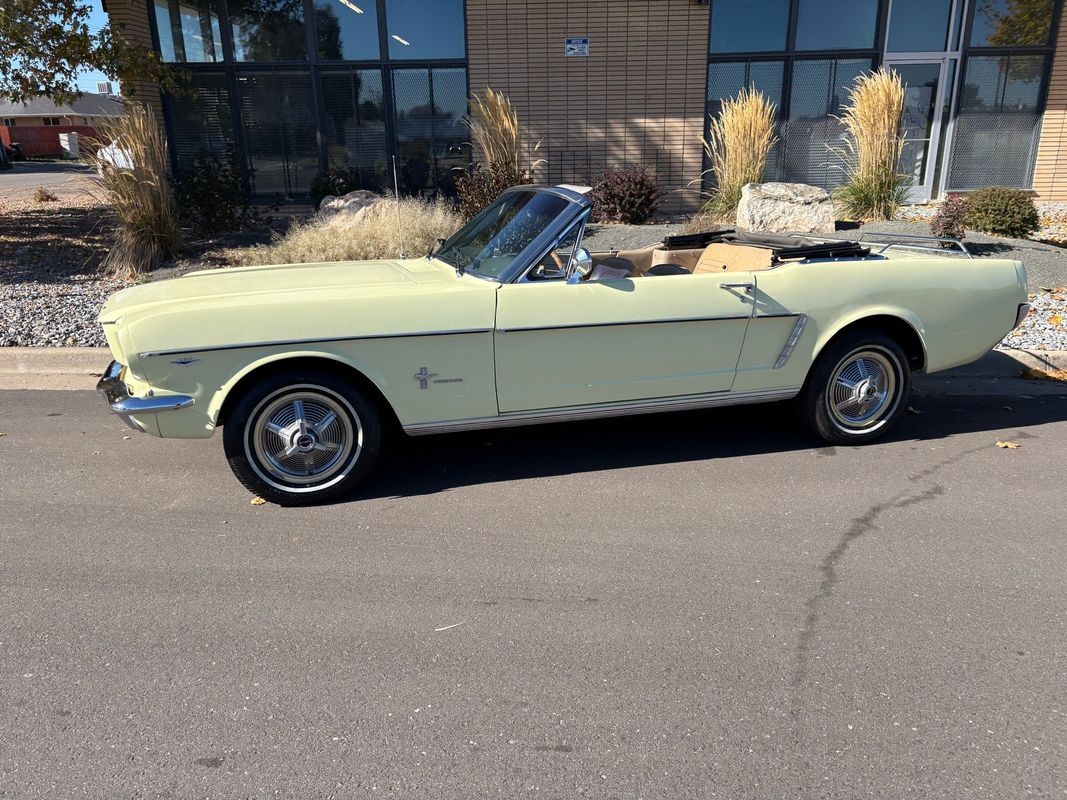 Ford-Mustang-1965-36