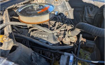 Ford-Mustang-1965-Caspian-Blue-Black-4