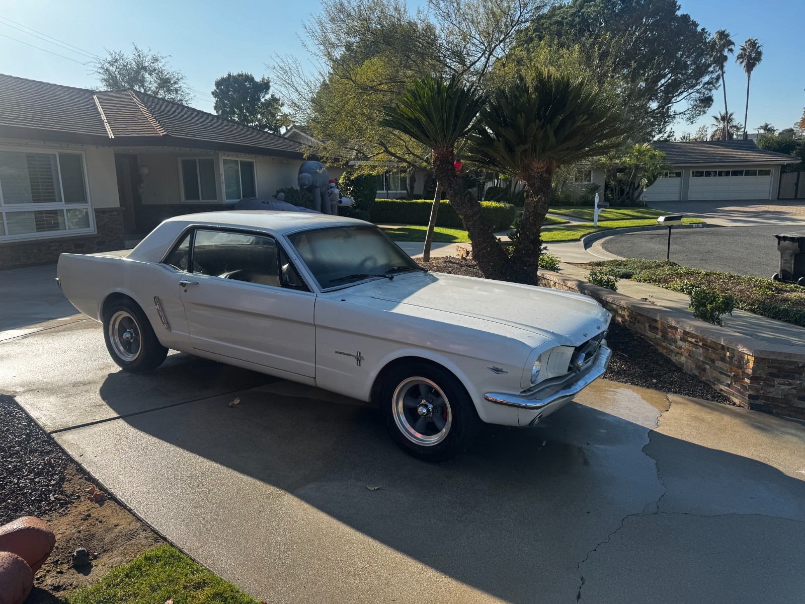 Ford-Mustang-1965-Coupe-8