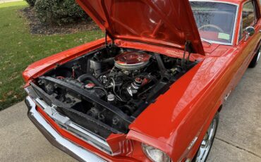 Ford-Mustang-1965-Rangoon-Red-Red-11