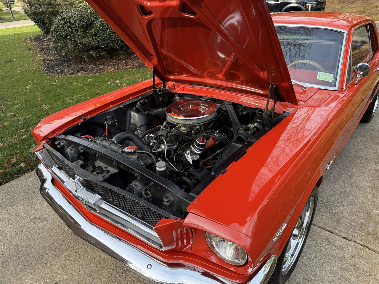 Ford-Mustang-1965-Rangoon-Red-Red-11