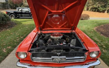 Ford-Mustang-1965-Rangoon-Red-Red-12