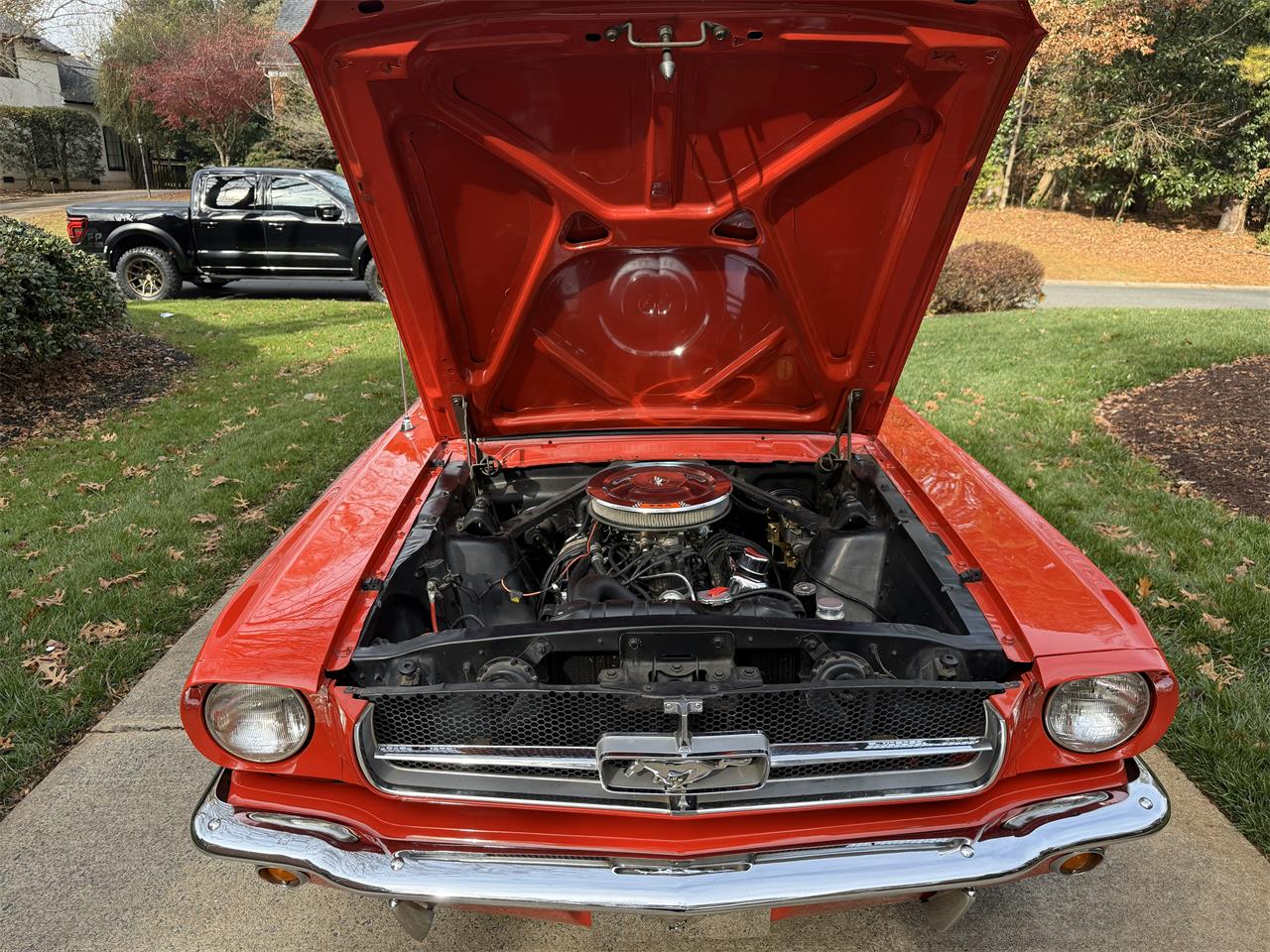 Ford-Mustang-1965-Rangoon-Red-Red-12