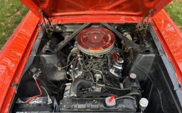 Ford-Mustang-1965-Rangoon-Red-Red-13