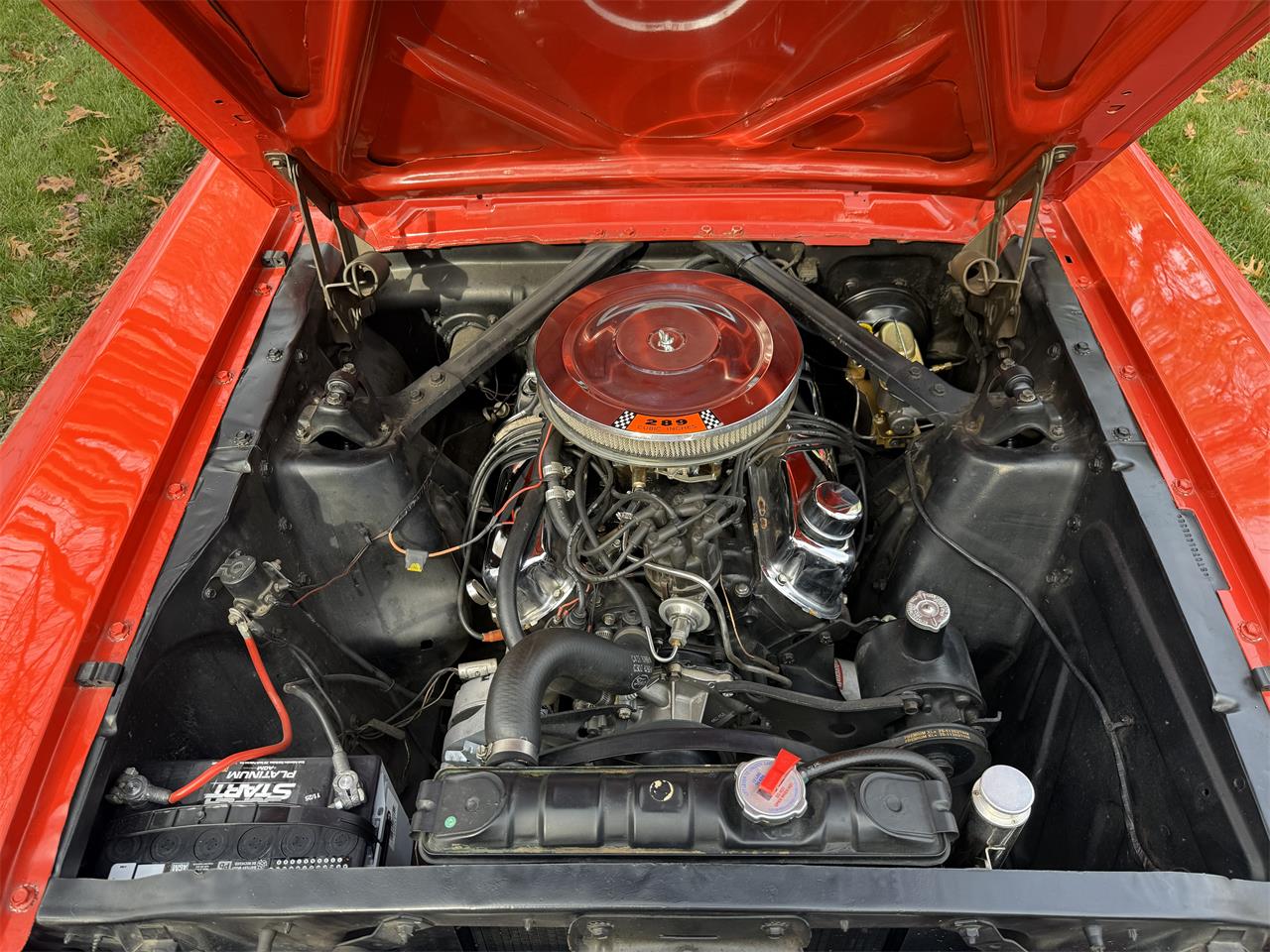 Ford-Mustang-1965-Rangoon-Red-Red-13