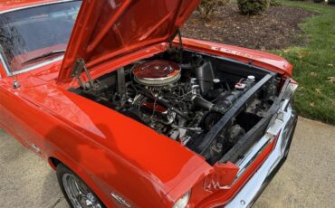 Ford-Mustang-1965-Rangoon-Red-Red-14