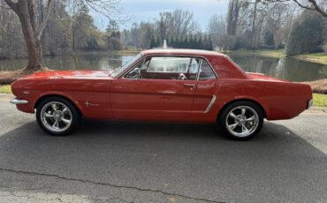 Ford-Mustang-1965-Rangoon-Red-Red-26
