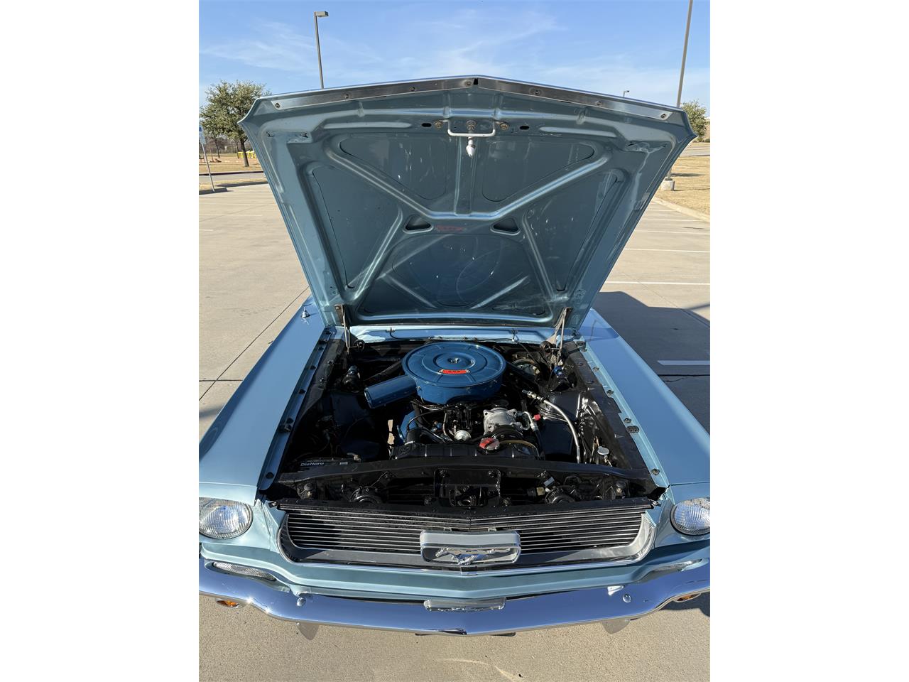 Ford-Mustang-1966-Blue-Blue-and-white-9
