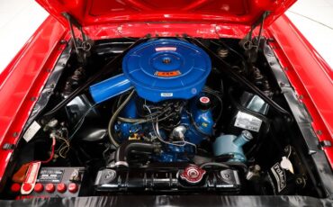 Ford-Mustang-1966-Candy-Apple-Red-Black-Pony-16