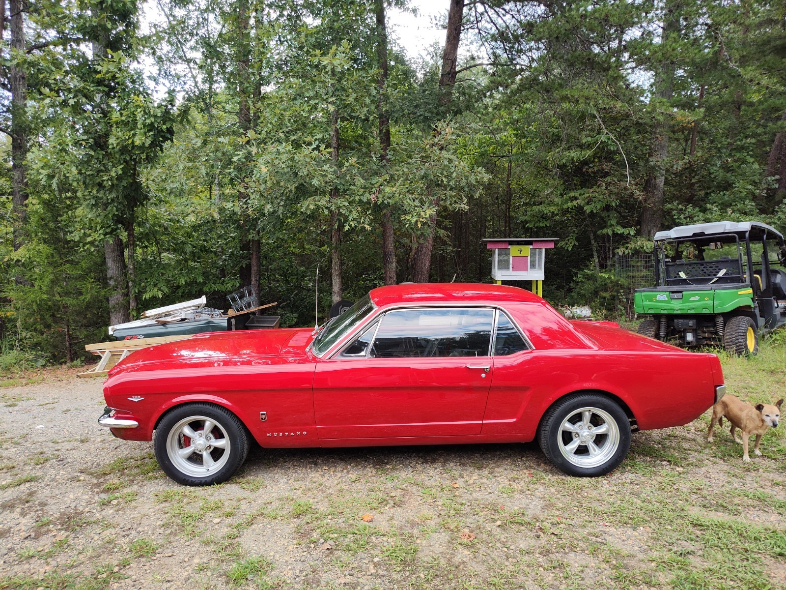 Ford-Mustang-1966-Coupe-5
