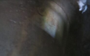 Ford-Mustang-1966-Fastback-2-2-35