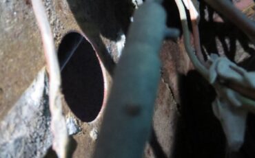 Ford-Mustang-1966-Fastback-2-2-36