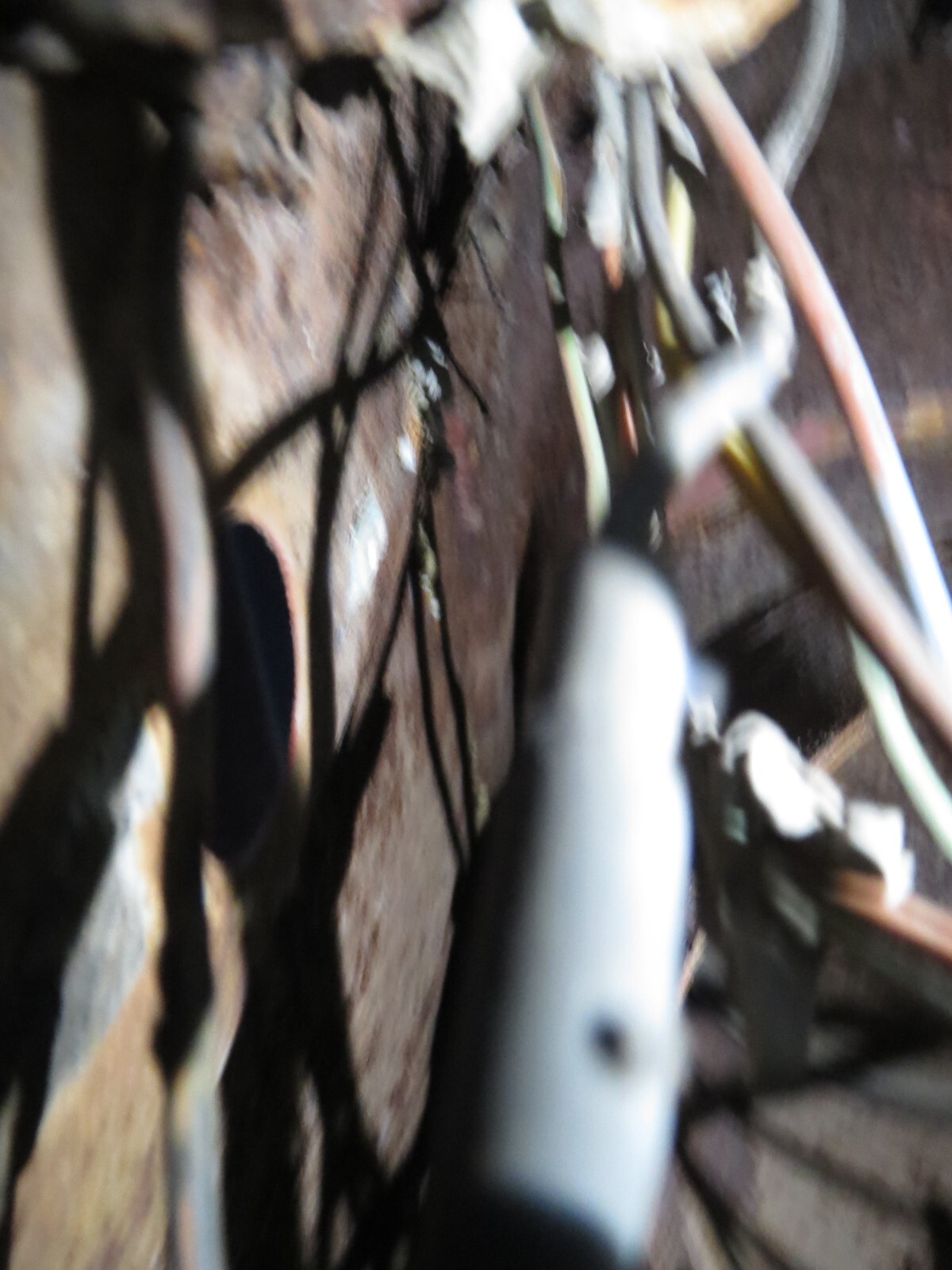 Ford-Mustang-1966-Fastback-2-2-37