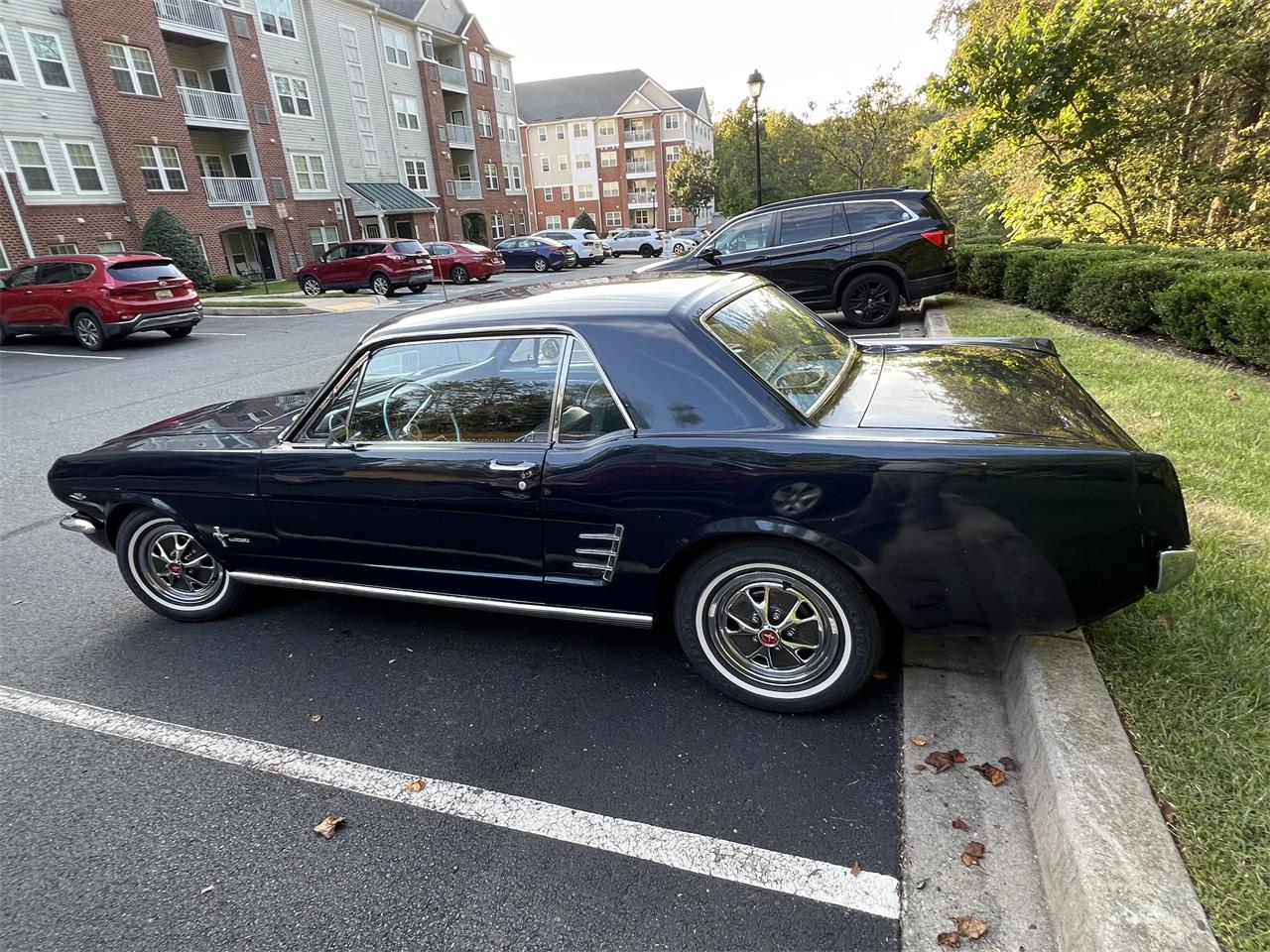 Ford-Mustang-1966-Nightmist-Blue-Aqua-Marine-2