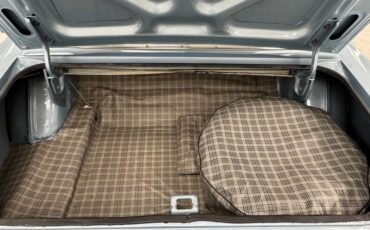 Ford-Mustang-1966-Silver-Blue-Blue-17