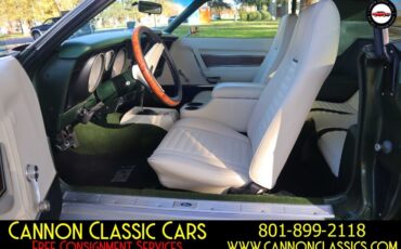 Ford-Mustang-1971-24