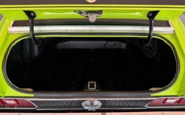 Ford-Mustang-1971-Fastback-8