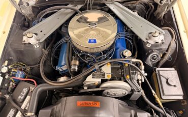 Ford-Mustang-1973-19