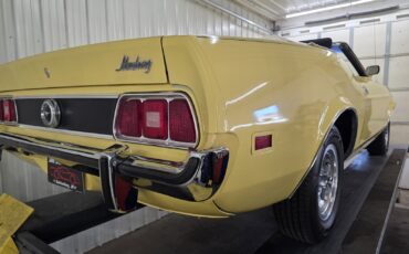 Ford-Mustang-1973-Convertible-31