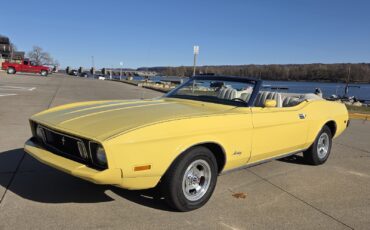 Ford-Mustang-1973-Convertible-37