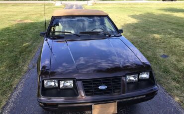 Ford-Mustang-1983-Brown-White-1