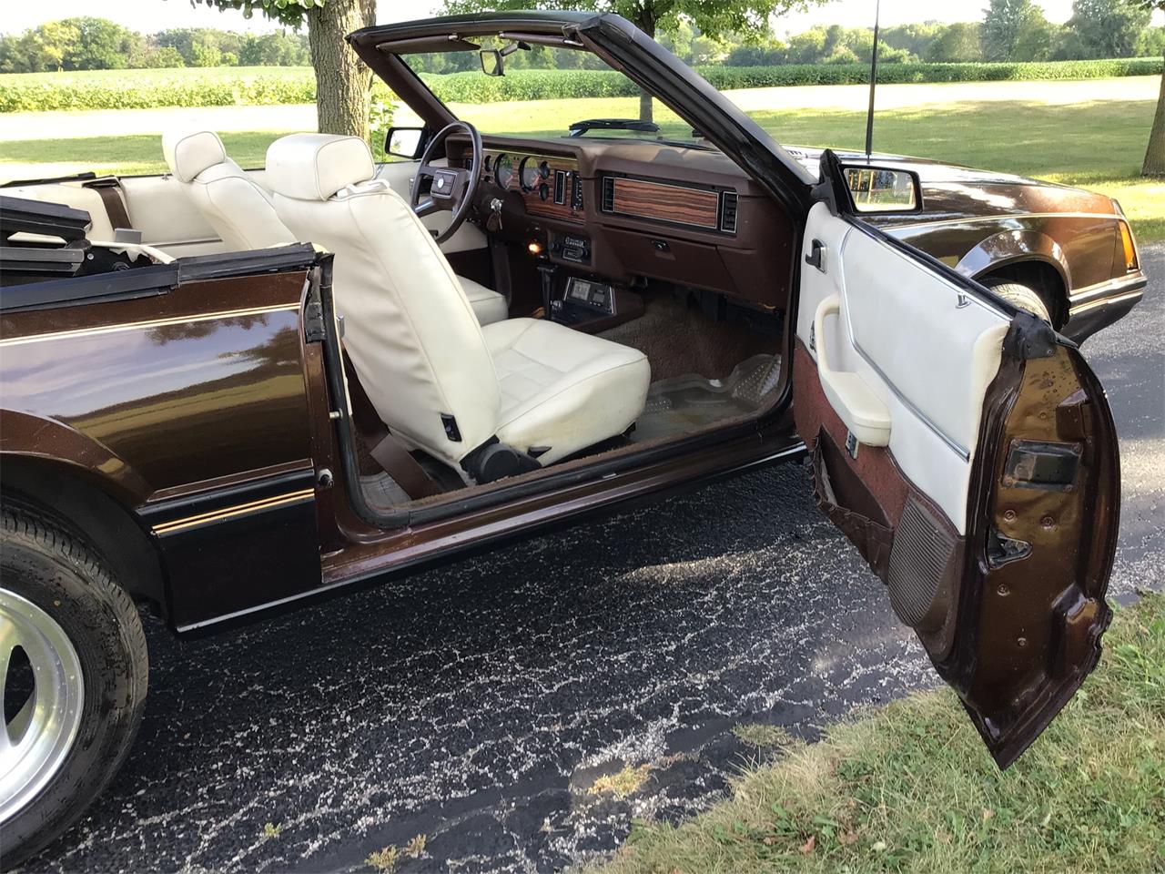 Ford-Mustang-1983-Brown-White-11