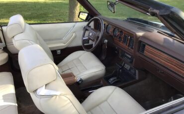 Ford-Mustang-1983-Brown-White-12