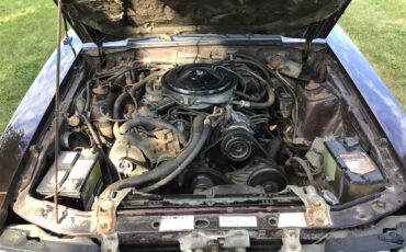 Ford-Mustang-1983-Brown-White-14