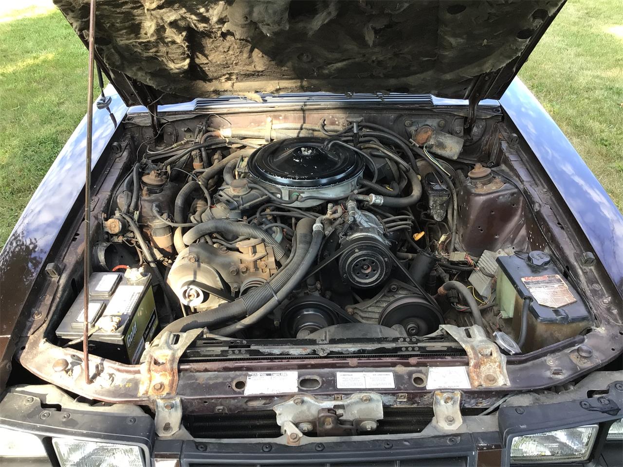 Ford-Mustang-1983-Brown-White-14