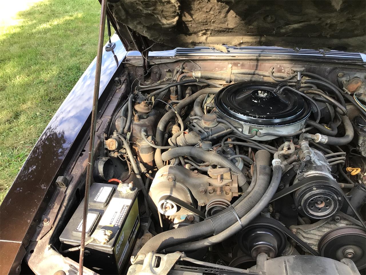 Ford-Mustang-1983-Brown-White-15