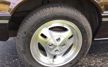 Ford-Mustang-1983-Brown-White-16