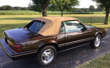 Ford-Mustang-1983-Brown-White-2