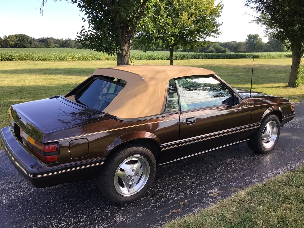 Ford-Mustang-1983-Brown-White-2