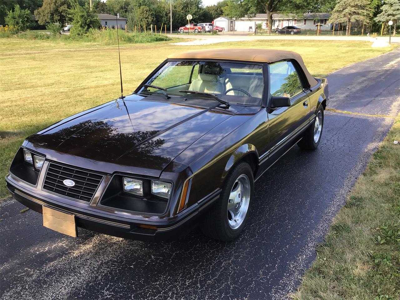 Ford-Mustang-1983-Brown-White-20