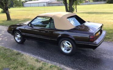 Ford-Mustang-1983-Brown-White-21
