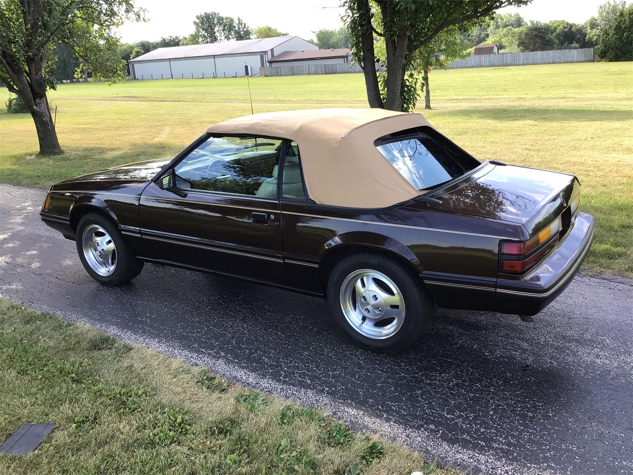 Ford-Mustang-1983-Brown-White-21