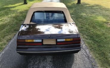 Ford-Mustang-1983-Brown-White-22