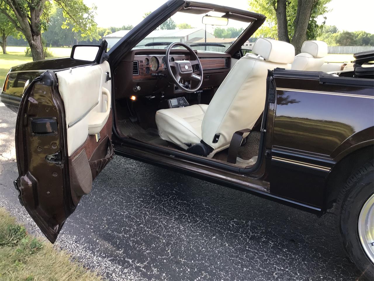 Ford-Mustang-1983-Brown-White-23