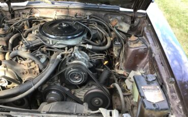 Ford-Mustang-1983-Brown-White-26