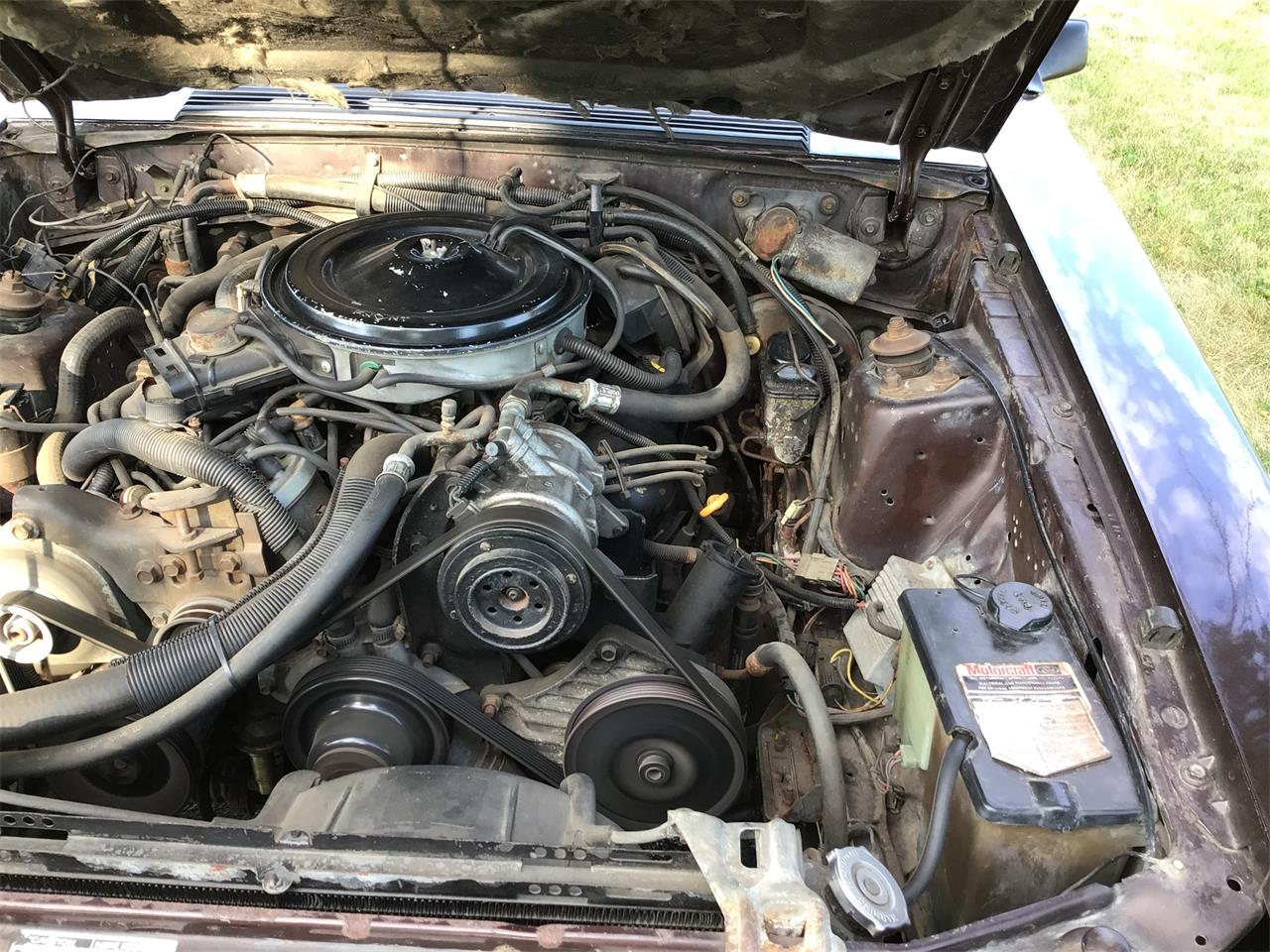 Ford-Mustang-1983-Brown-White-26