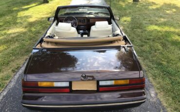 Ford-Mustang-1983-Brown-White-3