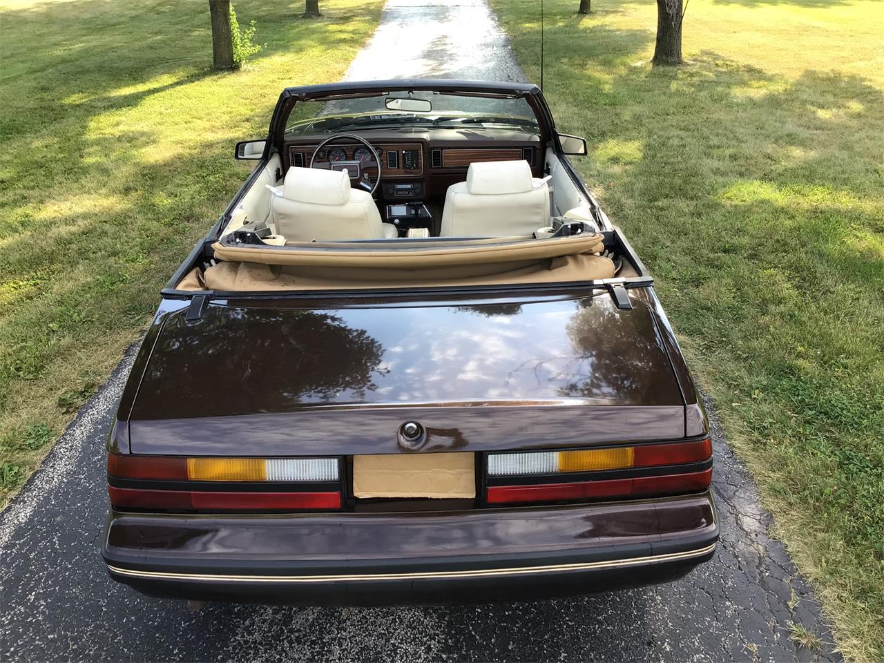 Ford-Mustang-1983-Brown-White-3