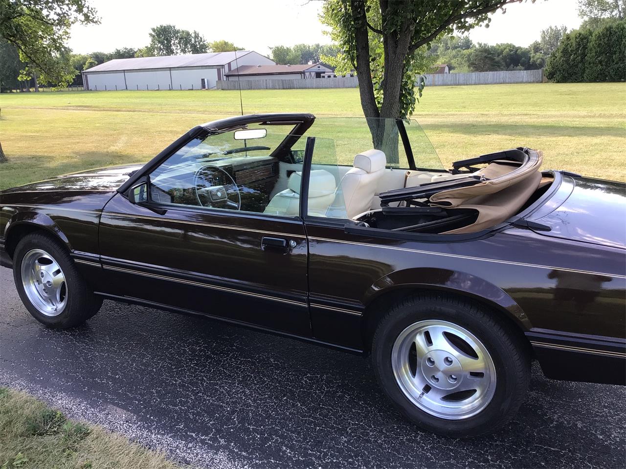 Ford-Mustang-1983-Brown-White-5