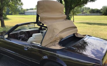 Ford-Mustang-1983-Brown-White-6