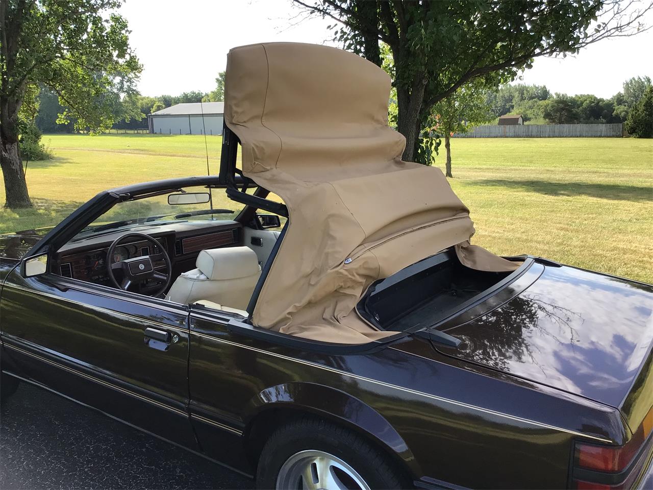 Ford-Mustang-1983-Brown-White-6