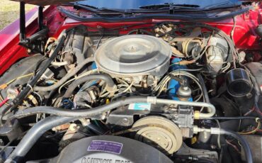 Ford-Ranchero-1979-31